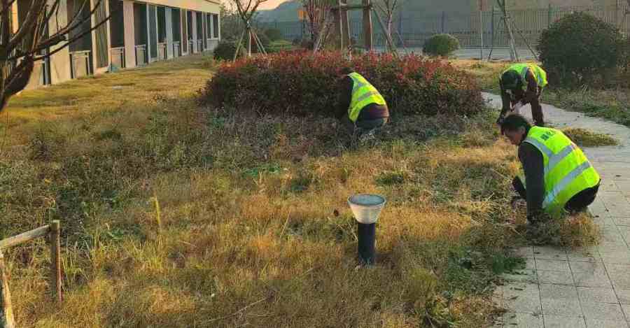 工廠綠化養(yǎng)護(hù)(圖1)