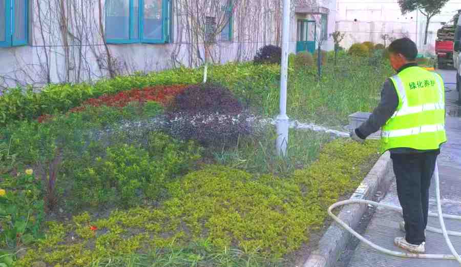 工廠綠化養(yǎng)護(hù)(圖3)