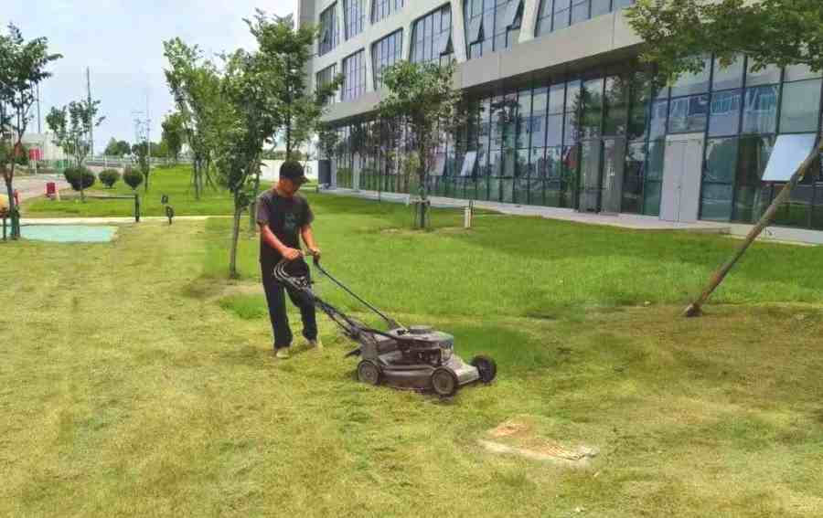 企事業(yè)單位綠化養(yǎng)護(hù)(圖1)