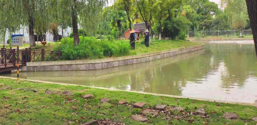 工廠綠化養(yǎng)護(hù)(圖2)