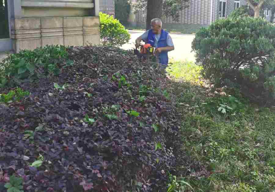 物業(yè)/開發(fā)商綠地養(yǎng)護(hù)(圖3)