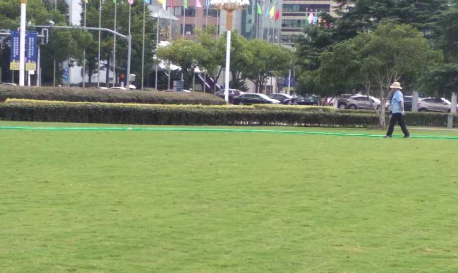 學(xué)校/醫(yī)院綠地養(yǎng)護(hù)(圖2)