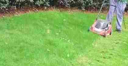 昆山綠化養(yǎng)護(hù)的技術(shù)要點與創(chuàng)新實踐