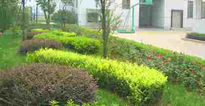 昆山綠化工程竣工驗收備案：流程、要點與意義