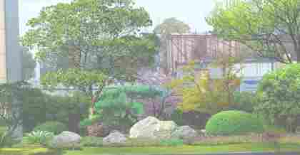 昆山環(huán)境綠化規(guī)劃備案的重要性及實(shí)施要點(diǎn)