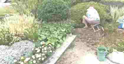 昆山工廠(chǎng)綠化改造：打造綠色生態(tài)廠(chǎng)區(qū)